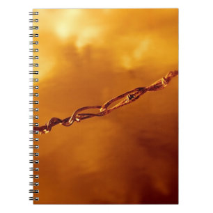 Barbed Wire Fugue Notebook