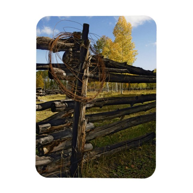 Barbed Wire Magnet (Vertical)