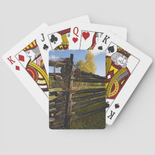 Barbed Wire Playing Cards