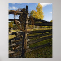 Barbed Wire