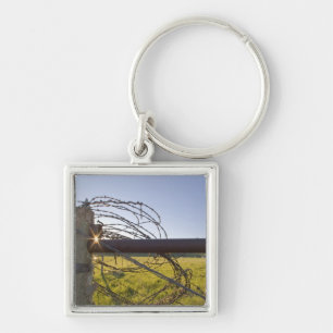 Barbed wire rolled up on fencerow near key ring