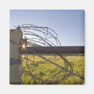 Barbed wire rolled up on fencerow near magnet