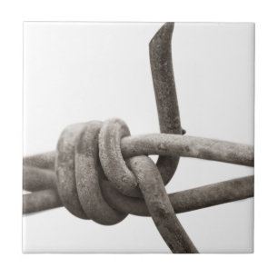 Barbed wire tile