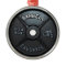 Barbell Plate Tree Ornament