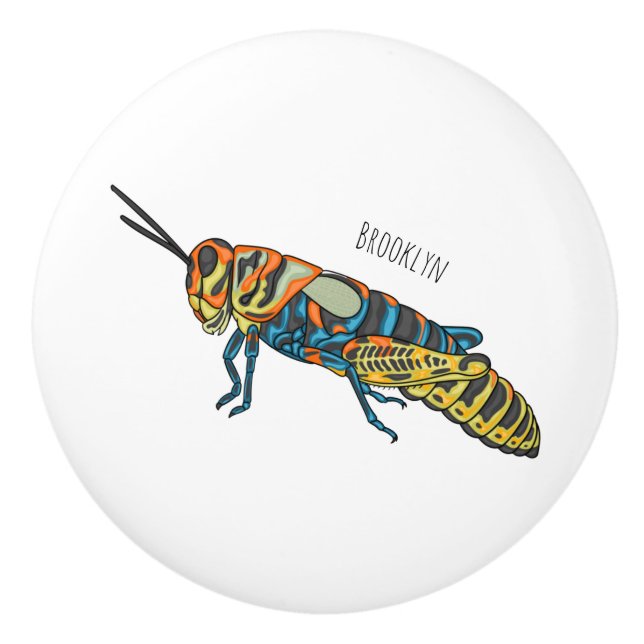 Barber pole grasshopper cartoon illustration ceramic knob (Front)