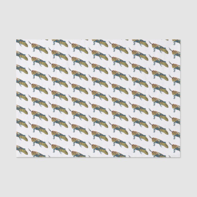 Barber pole grasshopper cartoon illustration  tissue paper (Front)