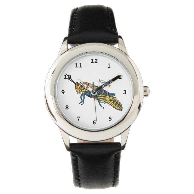 Barber pole grasshopper cartoon illustration  watch (Front)