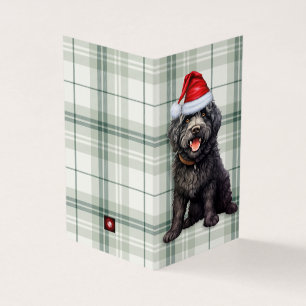 Barbet Christmas Dog Green Holiday Plaid