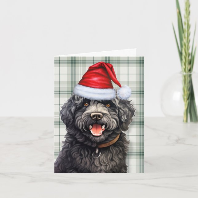 Barbet Christmas Dog Green Plaid Christmas Holiday Card (Front)