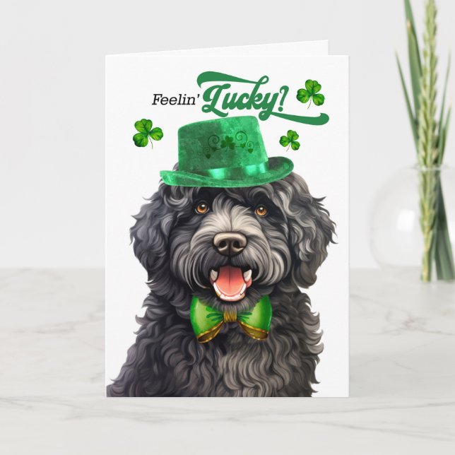 Barbet Dog Feelin' Lucky St Patrick's Day Holiday Card (Front)