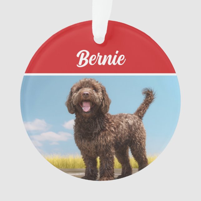 Barbet Dog Holiday Christmas Photo Ornament (Front)