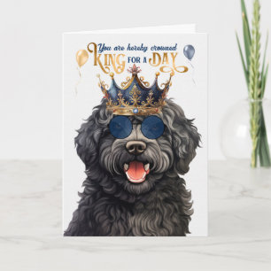 Barbet Dog King for Day Funny Birthday Card