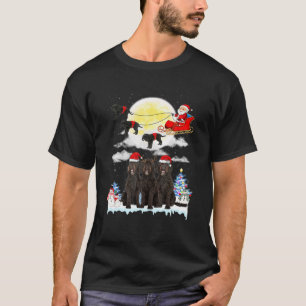 Barbet Dog Santa Sleigh Christmas Lover T-Shirt