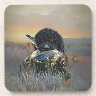 Barbet , French Water Dog Coaster