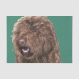 Barbet  tissue paper