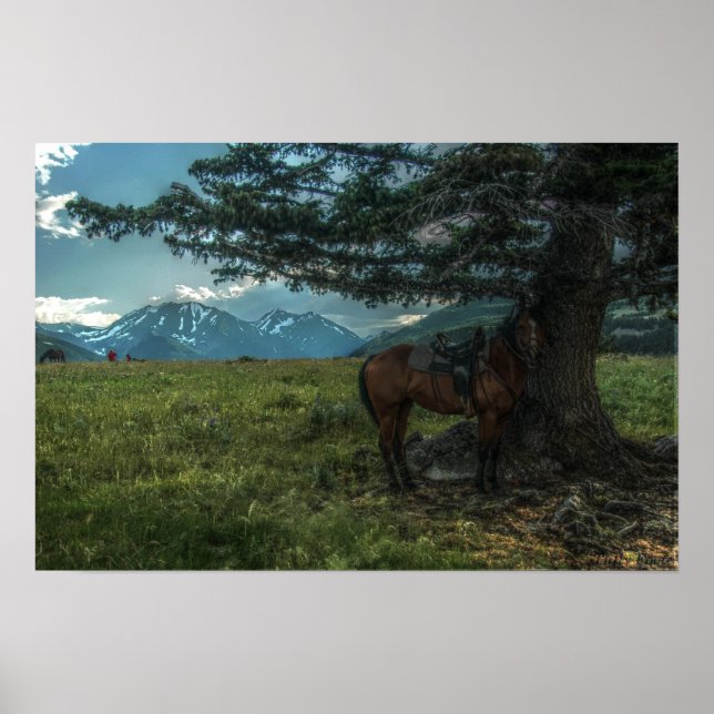 Barbra's Ride Poster (Front)