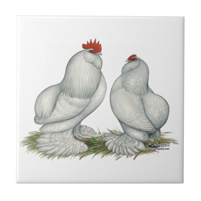 Barbu d'Everberg Chickens Tile (Front)