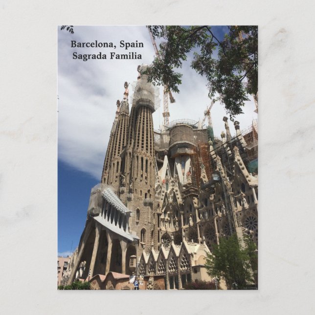 Barcelona Spain Sagrada Familia Postcard (Front)