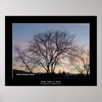 "Bare Tree at Dusk"