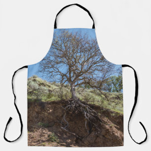 Bare tree on mountain during day apron