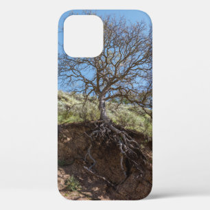 Bare tree on mountain during day iPhone 12 case