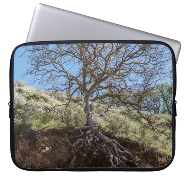 Bare tree on mountain during day laptop sleeve (Front)