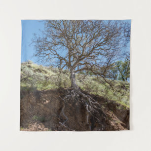 Bare tree on mountain during day tapestry