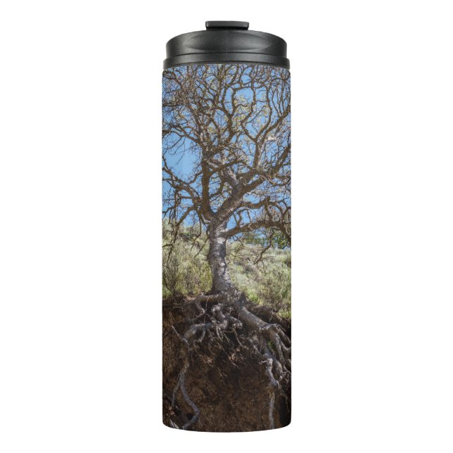 Bare tree on mountain during day thermal tumbler (Front)