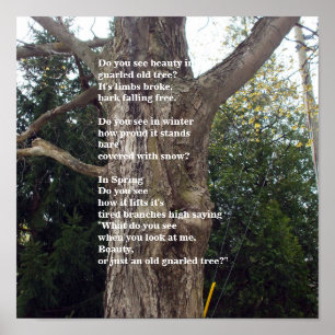 Bare Tree Poem fot Arbor Day Poster
