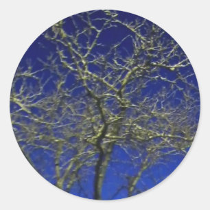 Bare Tree sticker