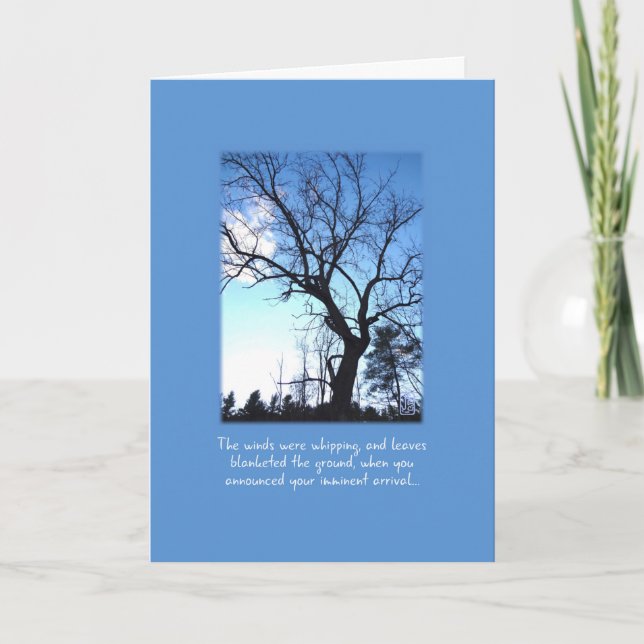 Bare Winter Tree on Blue Older Child Birthday Card (Front)