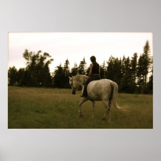 Bareback ride in dreamworld - Poster