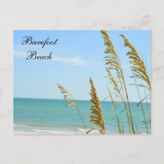 Barefoot Beach postcard