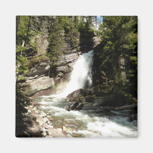 Baring Falls at Glacier National Park Magnet