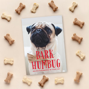 Bark Humbug Cute Puppy Dog   Holiday Photo