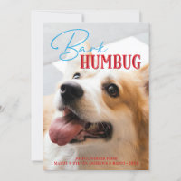 Bark Humbug Funny Christmas Dog Custom Photograph