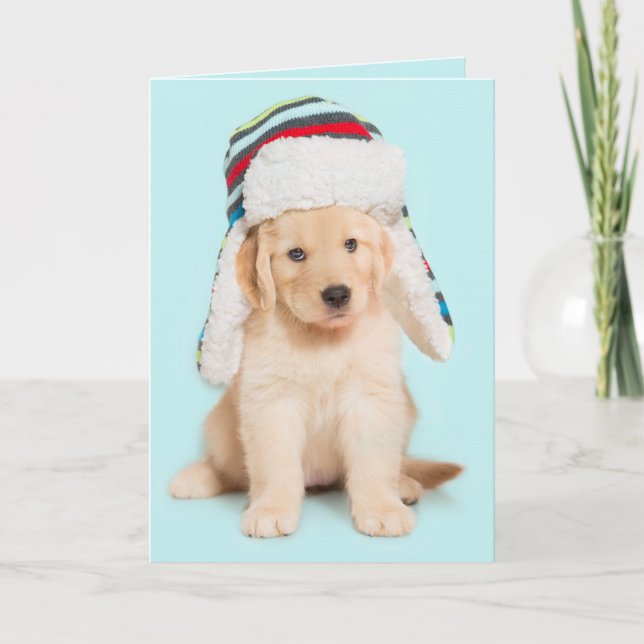 Bark Humbug Golden Retriever puppy Holiday Card (Front)