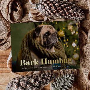Bark Humbug   Pet Photo Foil Holiday Card