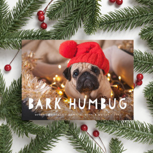 Bark Humbug Pet Photo Holiday Card
