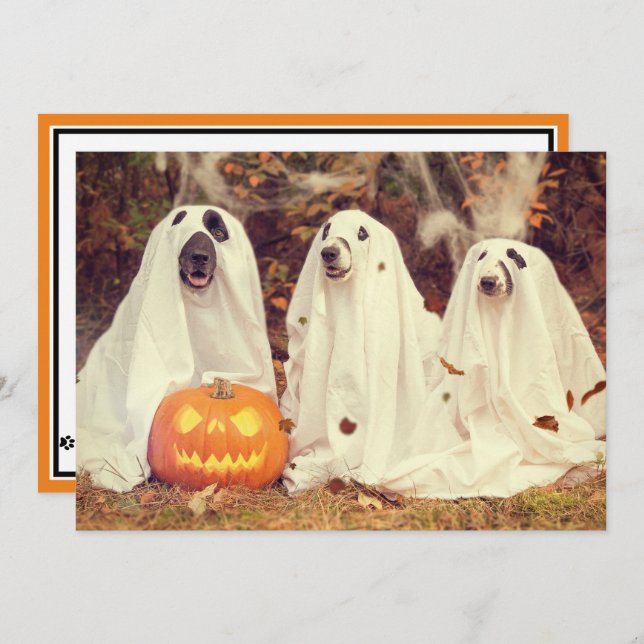 Bark In The Dark Halloween Party For DOGS Holiday Card (Front/Back)