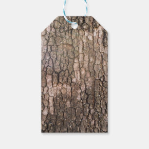 Bark of plane tree gift tags