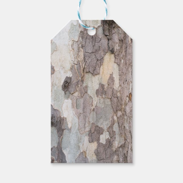 Bark of plane tree gift tags (Front)