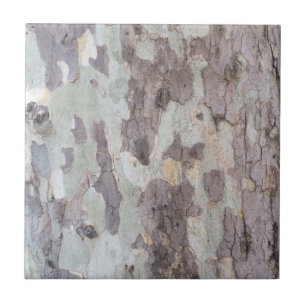 Bark of plane tree tile