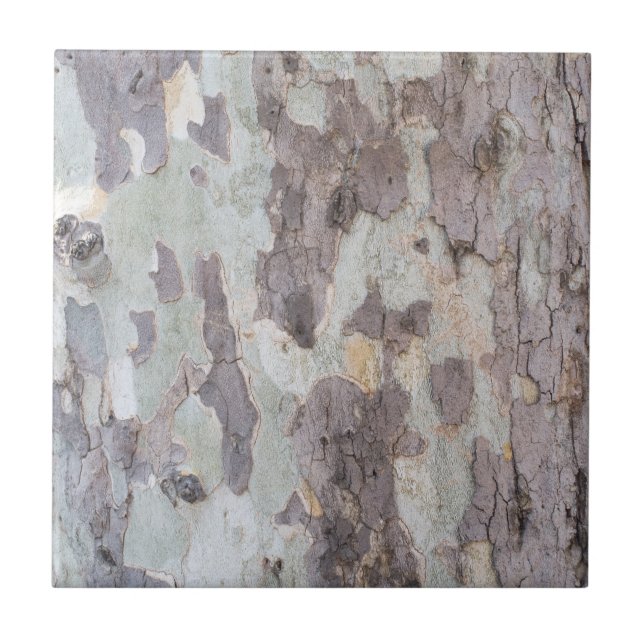 Bark of plane tree tile (Front)