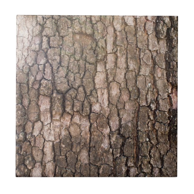 Bark of plane tree tile (Front)