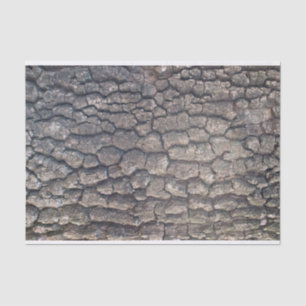 Bark of plane tree tissue paper