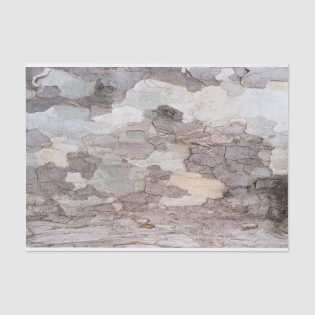 Bark of plane tree tissue paper (Front)