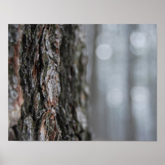 Bark of the Tree Poster (Front)