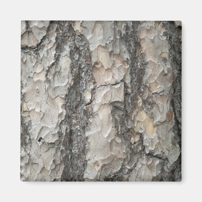 Bark Pine Wood Magnet (Front)
