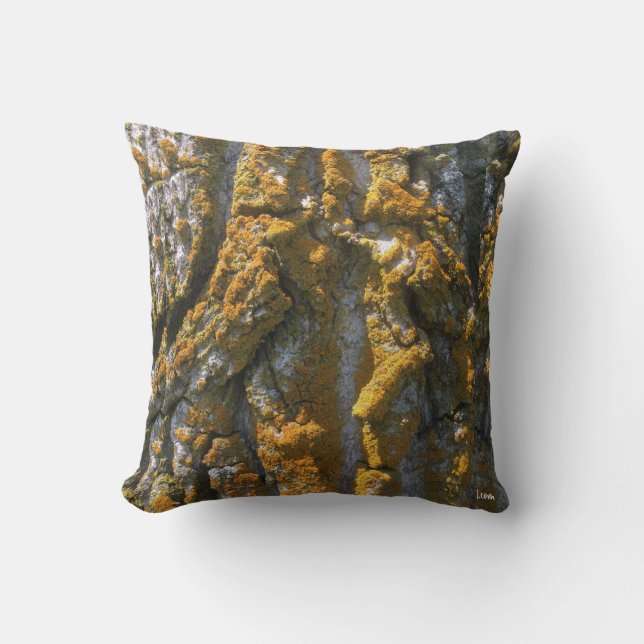 BARK WITH MOSS - PILLOW (Front)